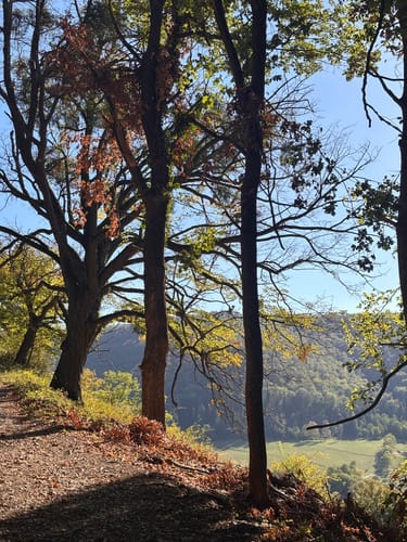 HOCHGEHBERGE I "hochgehkeltert" (Premiumwanderweg)