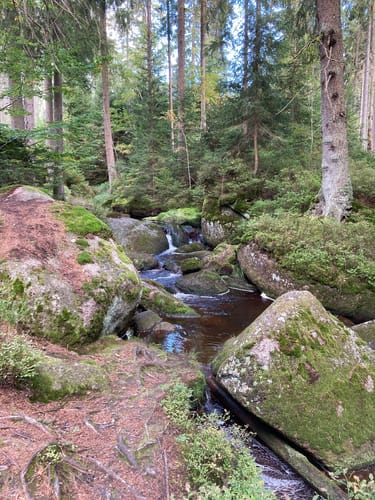 Weißmain-Ochsenkopf-Steig