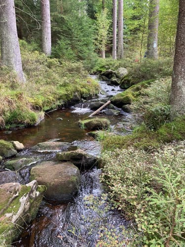 Weißmain-Ochsenkopf-Steig
