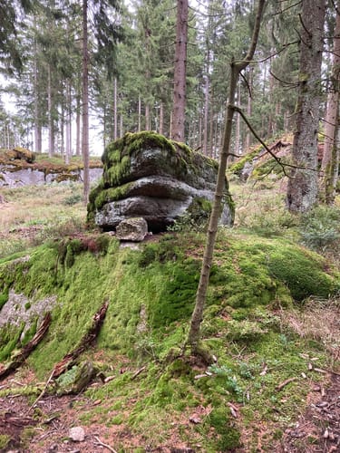 Weißmain-Ochsenkopf-Steig