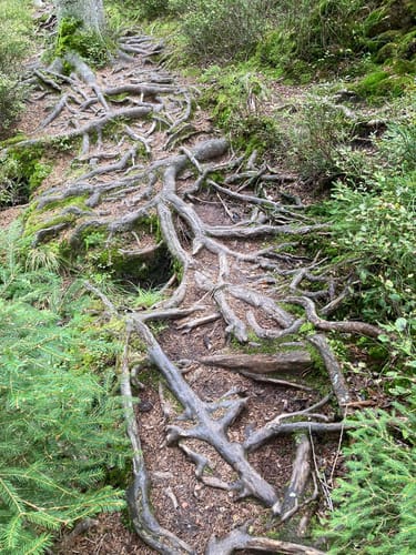 Weißmain-Ochsenkopf-Steig