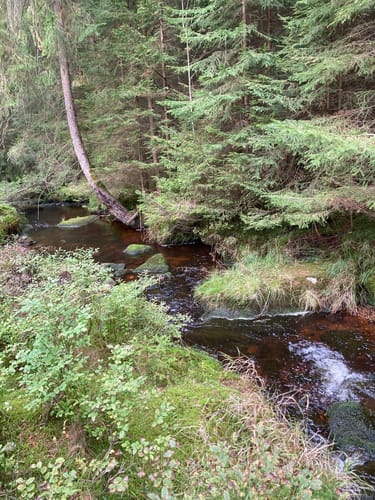 Weißmain-Ochsenkopf-Steig