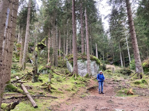 Weißmain-Ochsenkopf-Steig