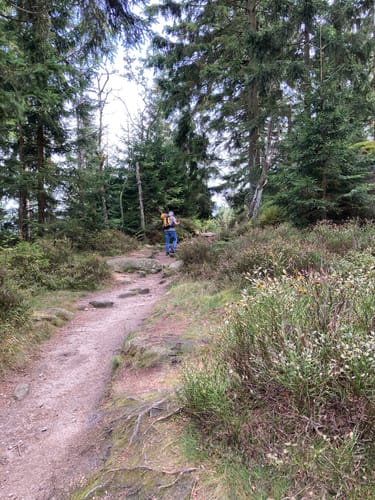 Silberhaus - Platte - Nusshardt - Schneeberg - Fichtelsee