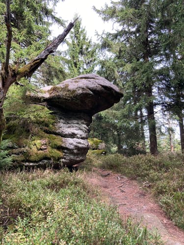 Silberhaus - Platte - Nusshardt - Schneeberg - Fichtelsee