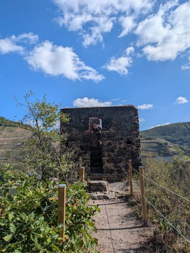 Baumgeister-Tour (Premiumwanderweg)