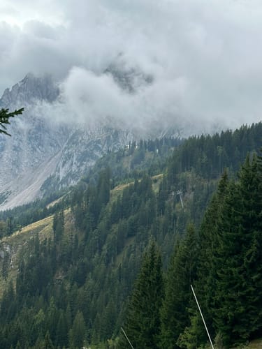 Via Alpina Violetter Weg, Etappe 33 : Gosau - Theodor-Körner Hütte