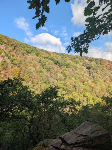 Baumgeister-Tour (Premiumwanderweg)
