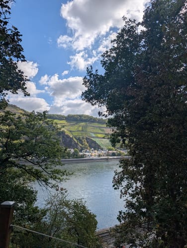 Baumgeister-Tour (Premiumwanderweg)