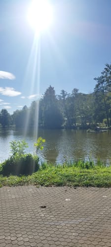 Deutscher-Französischer Garten