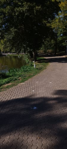 Deutscher-Französischer Garten