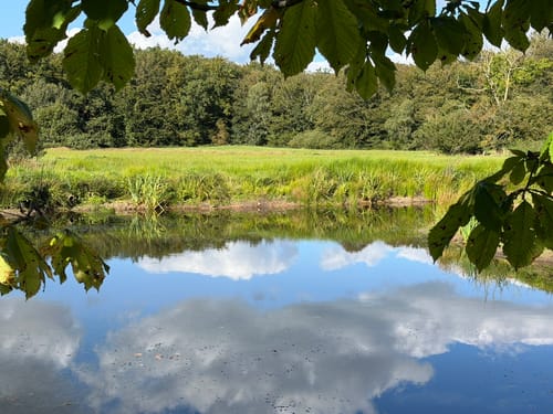 Aurich - Großefehn - Ihlowerfehn