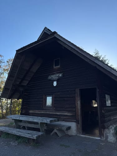 Von Gutach auf den Farrenkopf