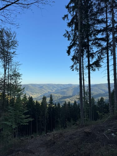 Von Gutach auf den Farrenkopf