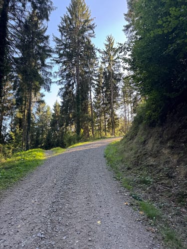 Von Gutach auf den Farrenkopf