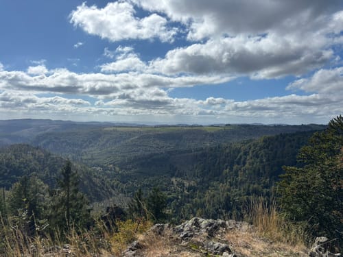 Blick ins romantische Odertal