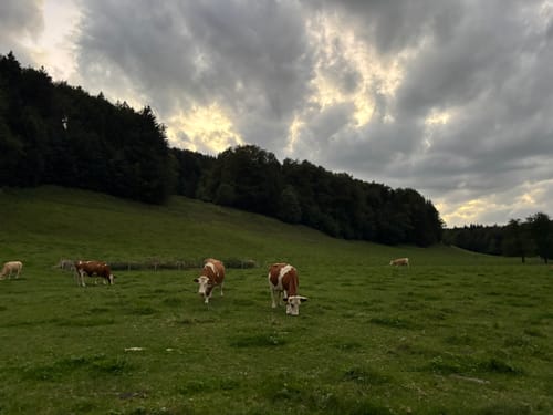 Kampenwand und Sulten ab Aigen
