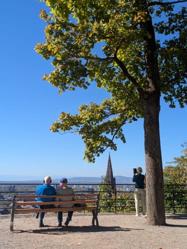 Schlossberg Runde Freiburg