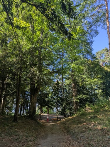 Schlossberg Runde Freiburg
