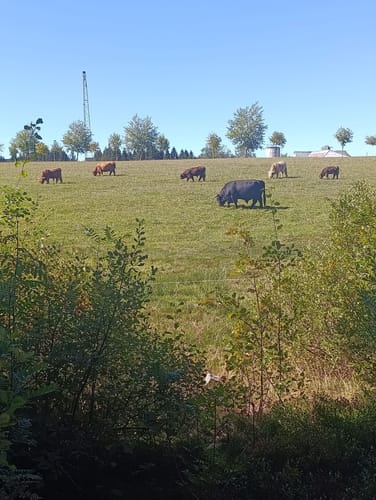 Kleiner Blindensee Rundwanderweg