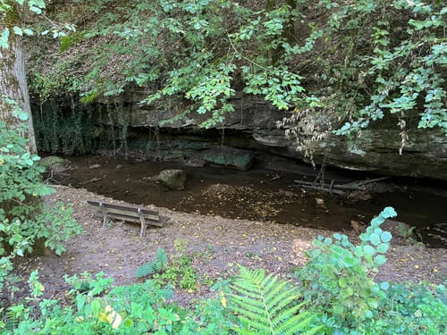 Wasserliescher Panoramasteig (Premiumwanderweg)