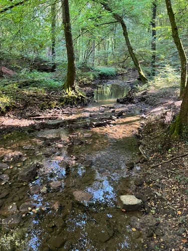 Wasserliescher Panoramasteig (Premiumwanderweg)
