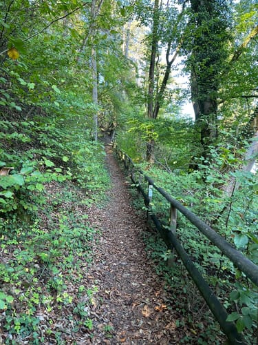 Wasserliescher Panoramasteig (Premiumwanderweg)
