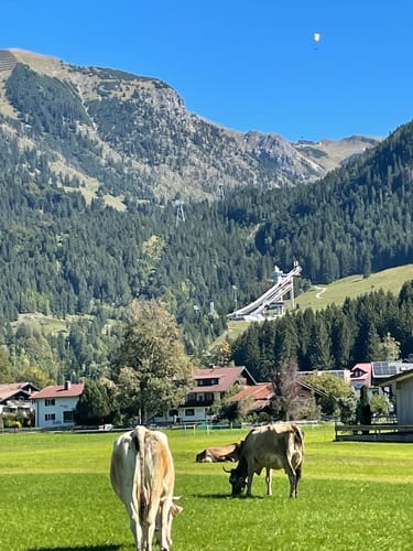 Winterwanderung zum Freibergsee
