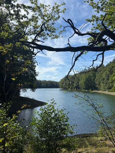 Neyetalweg zur Neyetalsperre