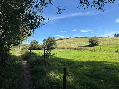 Neyetalweg zur Neyetalsperre
