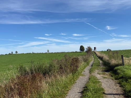 Neyetalweg zur Neyetalsperre
