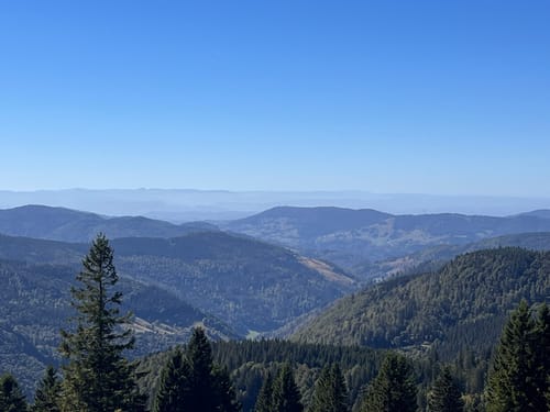 Auf den Feldberg über das Bismarckdenkmal