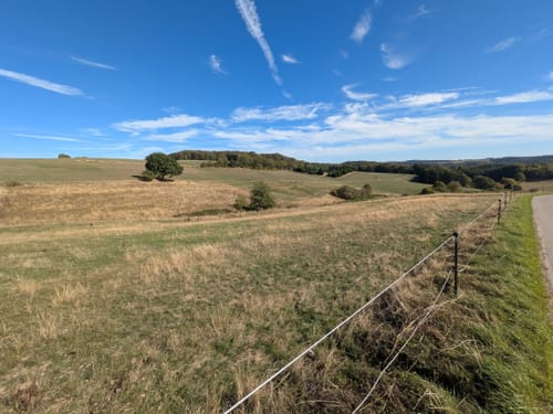 Kinder-Erlebniswanderung Gunderath