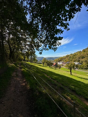 Rundweg Arienheller - Hartmannshof