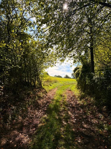 Rundweg Arienheller - Hartmannshof