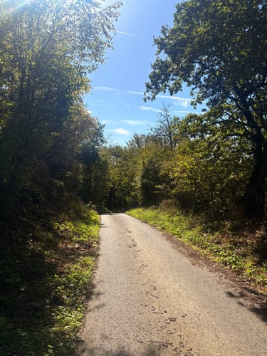 Rundweg Arienheller - Hartmannshof