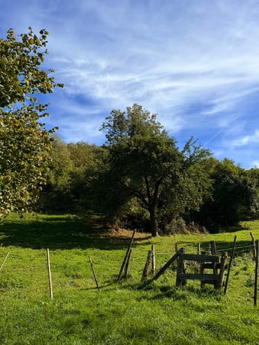 Rundweg Arienheller - Hartmannshof