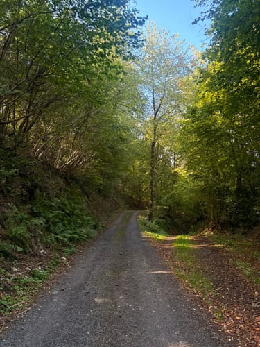 Rundweg Arienheller - Hartmannshof