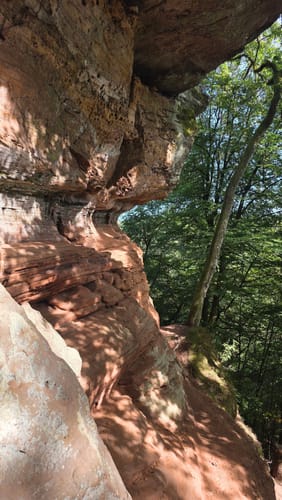 Circuit du Rocher de l'Altschlossfelsen