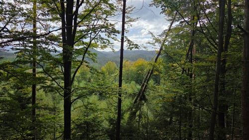 Über die Pohlshörner zum Teichstein