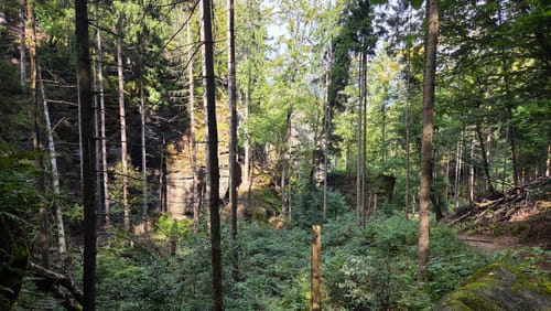 Über die Pohlshörner zum Teichstein