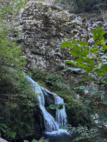 Allerheiligen-Wasserfall zum Schliffkopf Rundweg