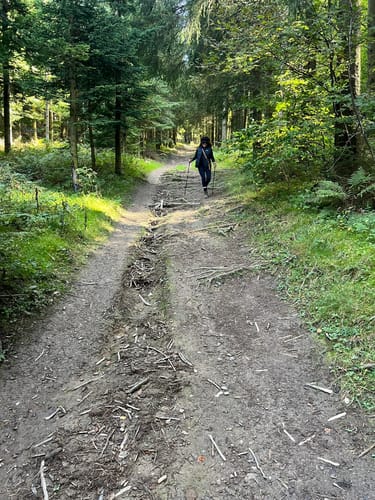 Winterberg - Kahler Asten - Hoher Knochen