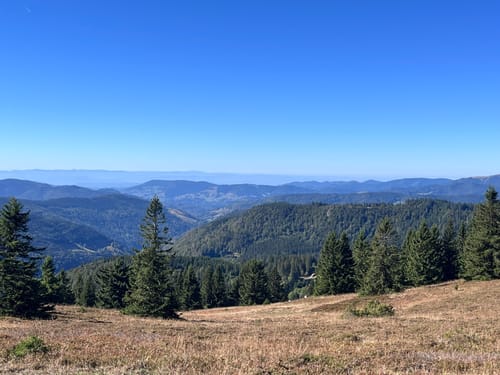 Feldbergsteig (Genießerpfad)