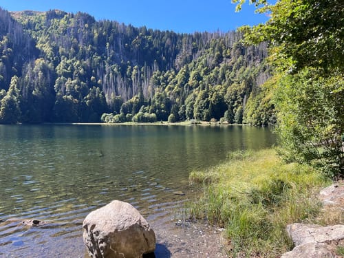 Feldbergsteig (Genießerpfad)