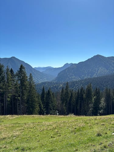 Aueralm und Fockenstein