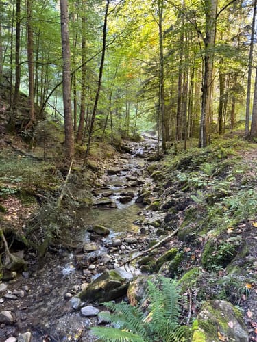Aueralm und Fockenstein
