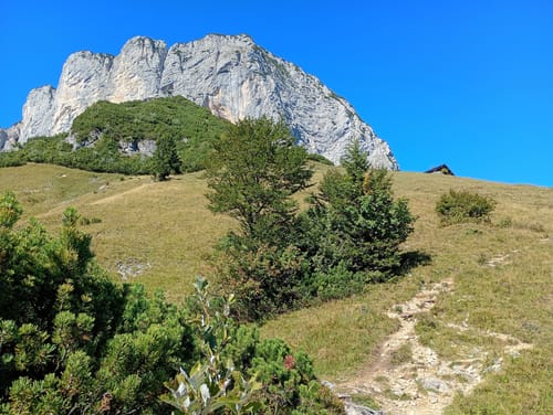 Wanderung ab Ettenberg zum Scheibenkaser