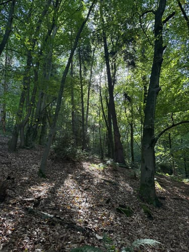 Runde um die Dörenther Klippen