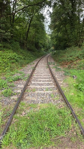 Dörenther Klippen (Teutoschleife)